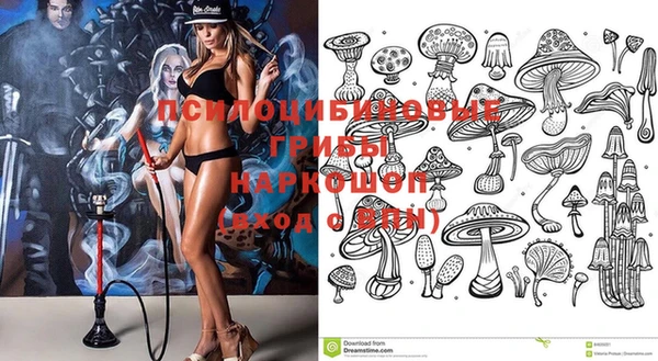 индика Алексеевка