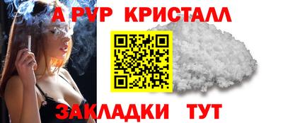 амф Владимир