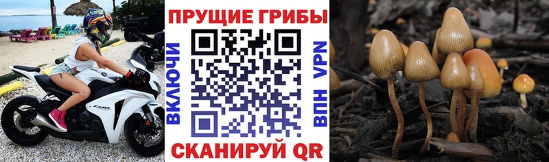 Галлюциногенные грибы ЛСД  купить наркоту  Искитим 