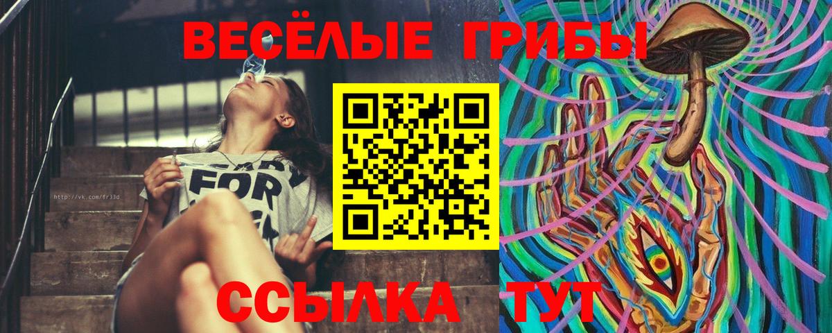 Искитим  Псилоцибиновые грибы Cubensis  Вход с VPN 
