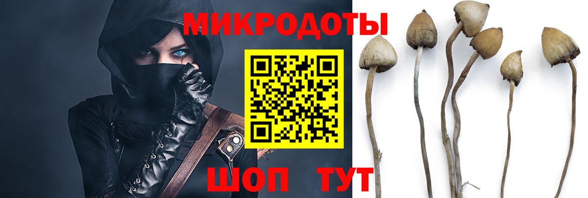 Псилоцибиновые грибы MAGIC MUSHROOMS Искитим